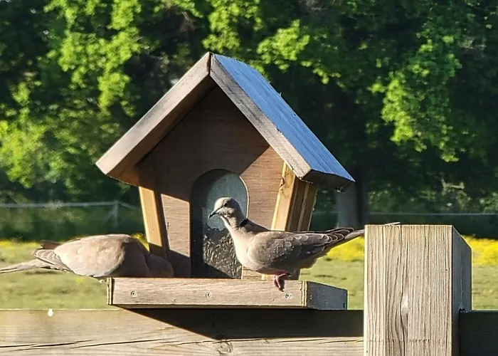 شقة Porte Du Sud *